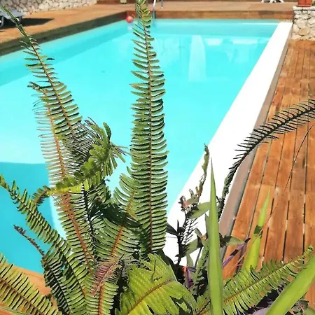 Place In The Sun Villa, 고우비아